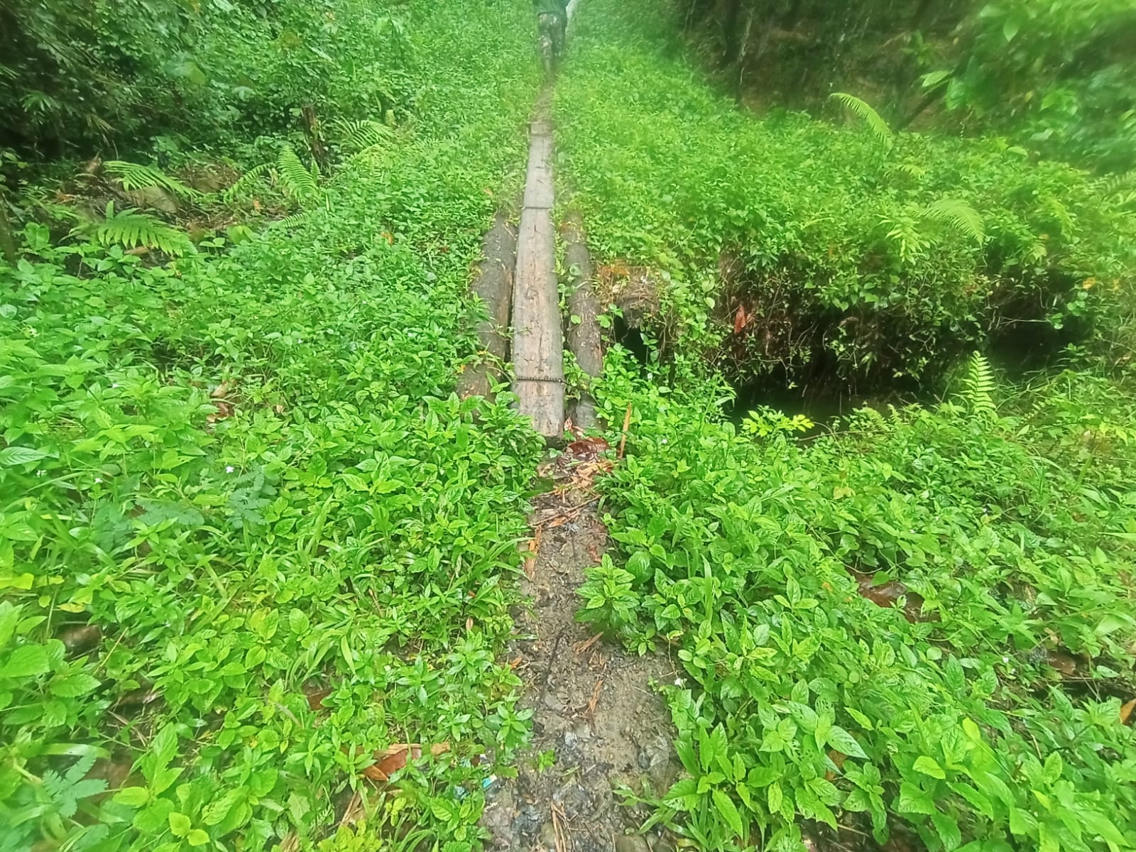 Foto jembatan