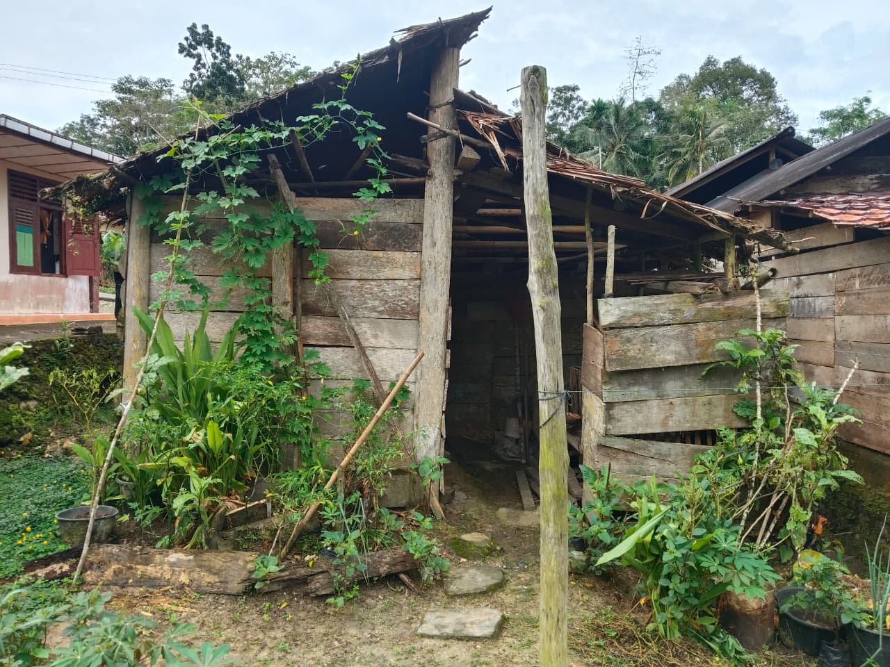 Foto RTLH
