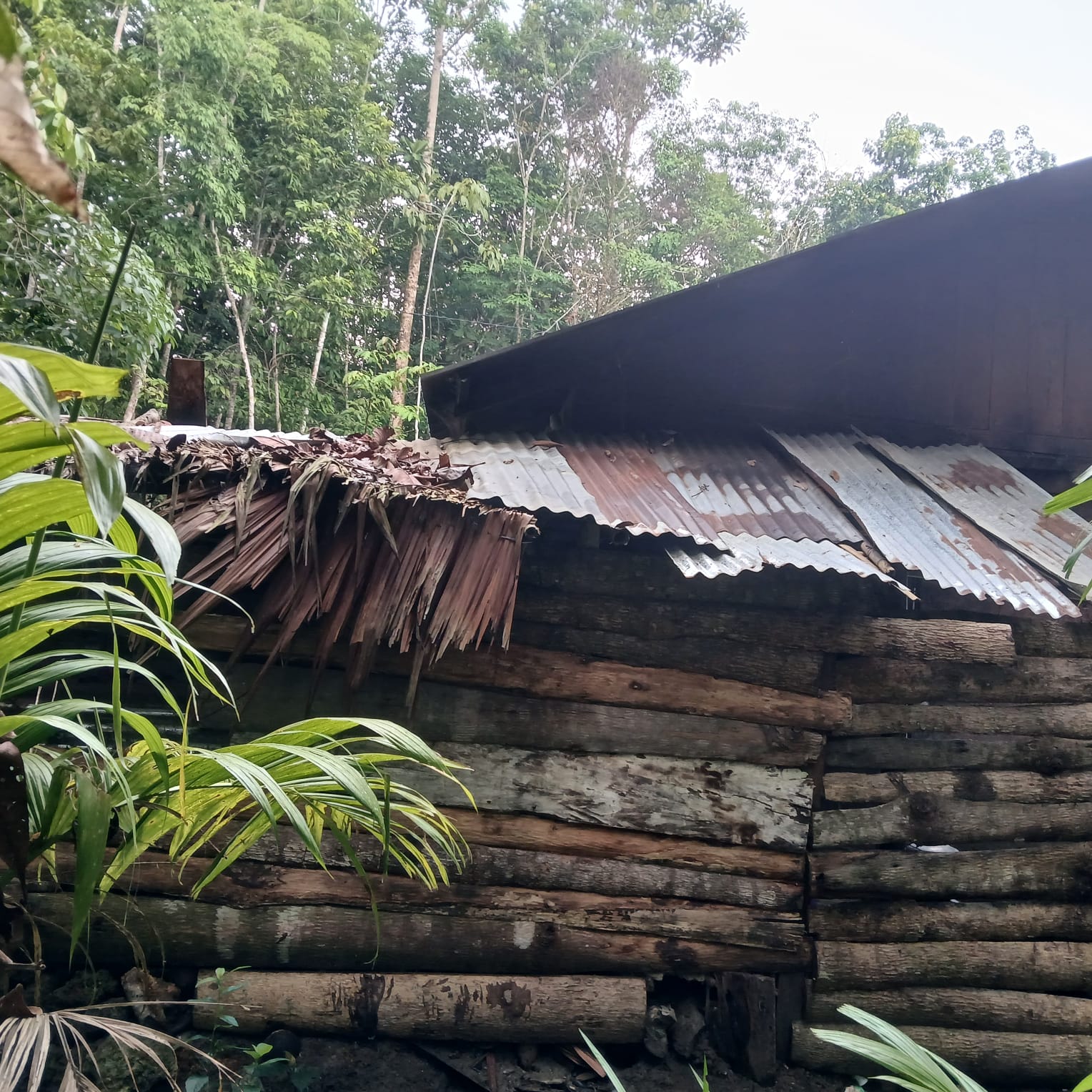 Foto RTLH